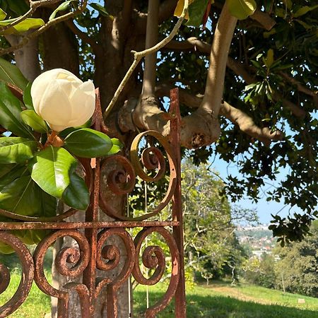 Gelos Domaine De La Tisnere Bed & Breakfast エクステリア 写真